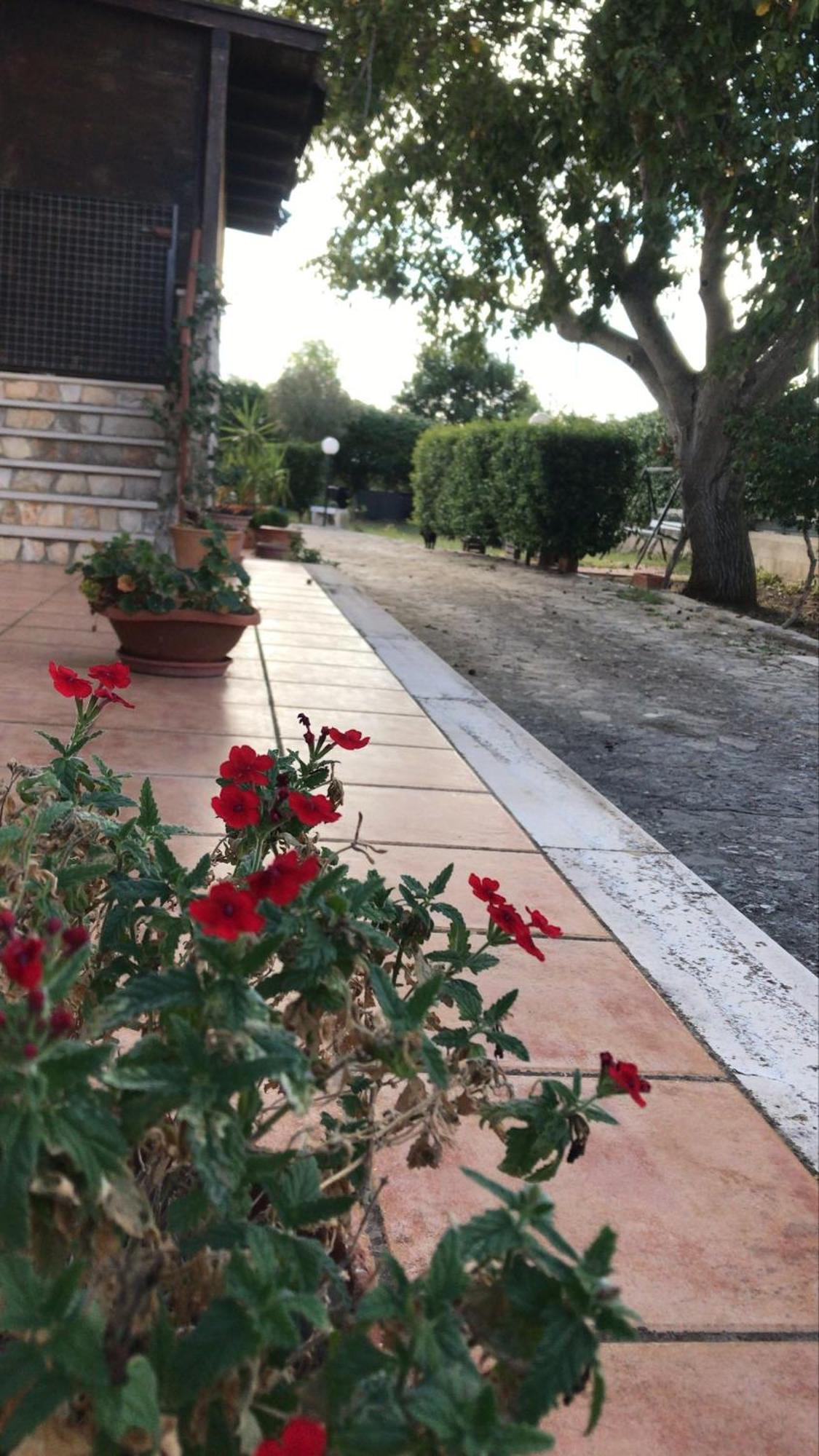 Villa Marida Gioia Del Colle Kültér fotó