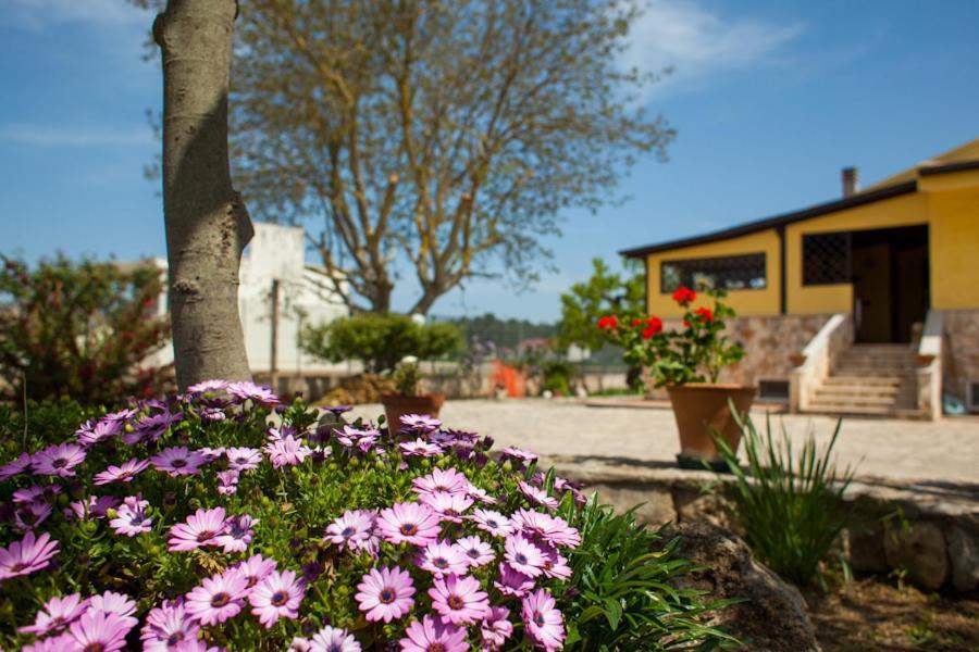 Villa Marida Gioia Del Colle Kültér fotó